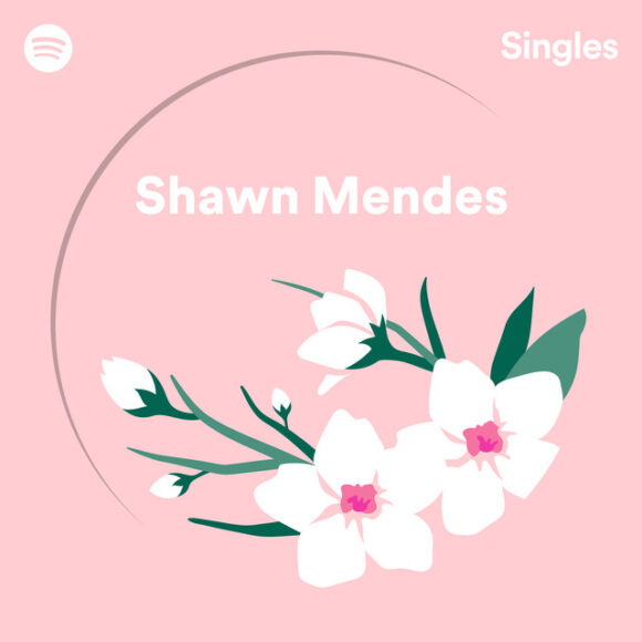 Shawn Mendes (1) Lost In Japan - Recorded at Spotify Studios NYC | (2) Use Somebody - Recorded at Spotify Studios NYC
