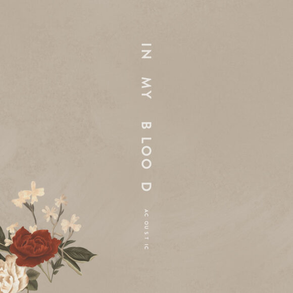 Shawn Mendes In My Blood (Acoustic)